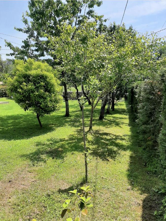 La Pescal Villa Arriondas Luaran gambar