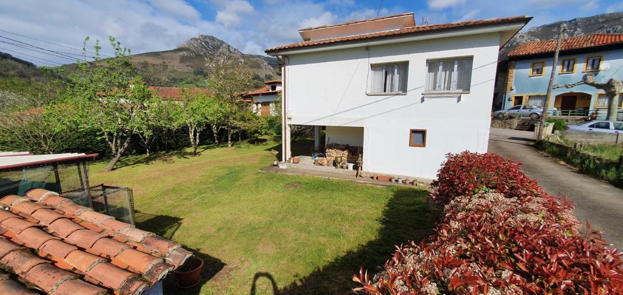 La Pescal Villa Arriondas Luaran gambar